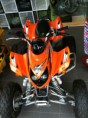 ARCTIC CAT 400 DVX